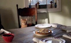 Canon® 35mm Film Camera - Canon T50 SLR Kit (Vintage) -Canon® Shop 35mm T50 3 ac12859e 0b78 43b7 b6b3 a7ab037cfef7