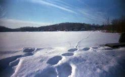 35mm Film Camera - RETO Ultra Wide & Slim Camera (Charcoal) 19 35mm Film Camera - RETO Ultra Wide & Slim Camera (Charcoal) -Canon® Shop 35mm WideSlimCamera 6 9b5f6eb9 4d39 48cf 9105 b4b4993c23c5