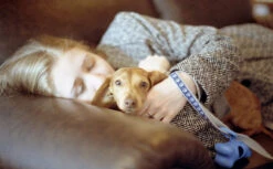 Canon® 35mm Film Camera - Canon AE-1 Program / 50mm F1.4 Lens (Vintage) -Canon® Shop CanonAE1p raso 7 1