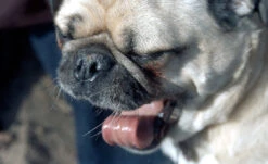 Canon® 35mm Film Camera - Canon FTb / 50mm F1.4 (Vintage) -Canon® Shop CanonFTb Images 4