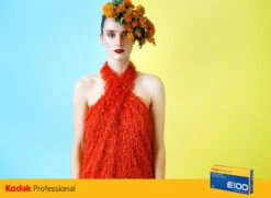 4x5 Sheet Film - Kodak Ektachrome E100 (10 Sheet Box) -Canon® Shop EktachromeE100 SandraCoanEducation 1 770xWeb