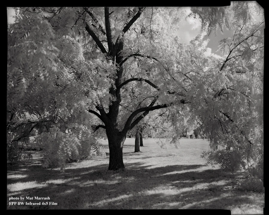 4x5 Sheet Film - FPP BW Neg Infrared Film - (25 Sheets) 4 4x5 Sheet Film - FPP BW Neg Infrared Film - (25 Sheets) - Image 2