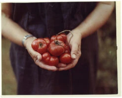 4x5 Sheet Film - Kodak Portra 160 (10 Sheets) -Canon® Shop KodakPortra160 4x5 4