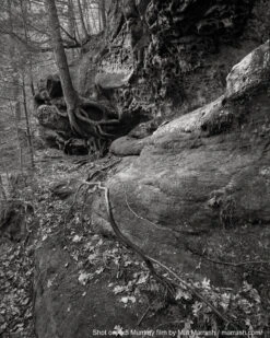 8x10 Sheet Film - FPP Mummy 400 BW Negative Film (25 Sheets) -Canon® Shop MatMarrash Mummy400 8x10 5 1200x dfebd03b 7860 47e3 ac51 36a24ee89f08