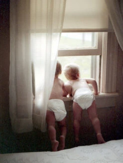 35mm Film Camera - Olympus Stylus Original (Vintage) 11 35mm Film Camera - Olympus Stylus Original (Vintage) -Canon® Shop OlympusStylusOrig Gold200 Leslie3