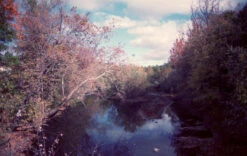 35mm Film Camera - Pentax K1000 SLR / 50mm F2 + (Vintage) -Canon® Shop PentaxK1000 4 Raso