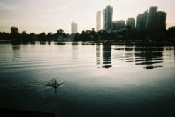 35mm Film Camera - Lomo Simple Use Metropolis Color (with Film) -Canon® Shop SimpleUseMetropolis Example 3