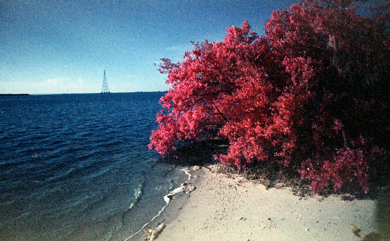 35mm Film Camera - RETO Ultra Wide & Slim Camera (Charcoal) 13 35mm Film Camera - RETO Ultra Wide & Slim Camera (Charcoal) - Image 11