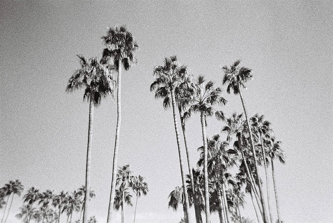 35mm Film Camera - Dubble SHOW Point & Shoot (Pink) 7 35mm Film Camera - Dubble SHOW Point & Shoot (Pink) - Image 6