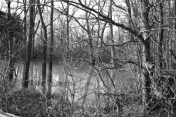 Darkroom Supplies - FPP 110 BW Film Developer (Kodak HC-110 Equivalent - 8 Oz) -Canon® Shop fpp110 Leslie 1